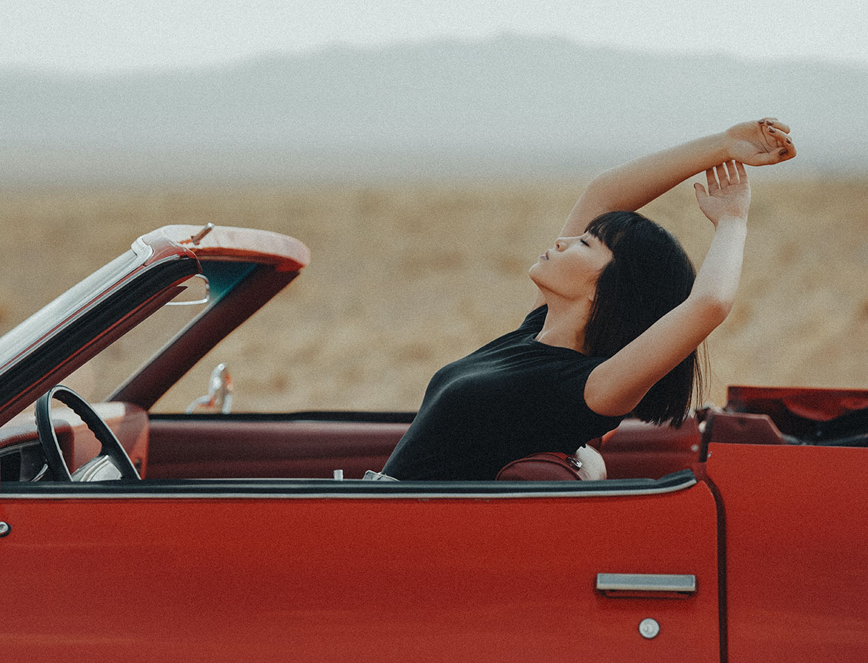 Everything You Need to Know About This